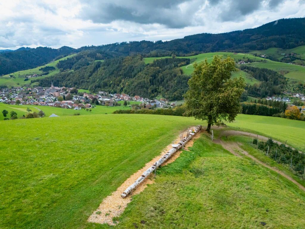 Überblick über Oberharmersbach